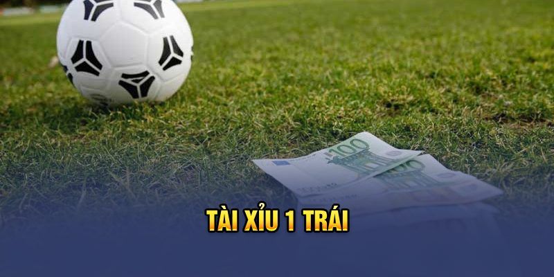 Kinh nghiệm đặt cược kèo tài xỉu 1 trái cực hay từ cao thủ