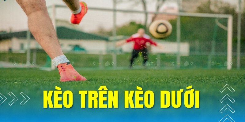 Cách đọc kèo trên kèo dưới đơn giản, dễ dàng nhất