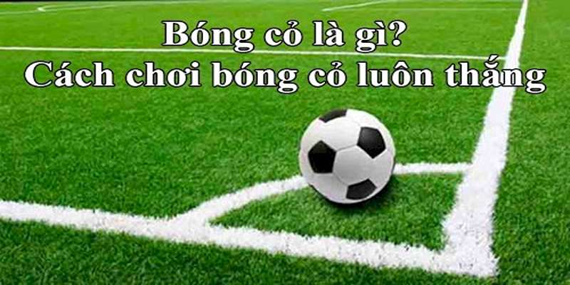 Chiến lược cá cược hiệu quả trong bóng cỏ