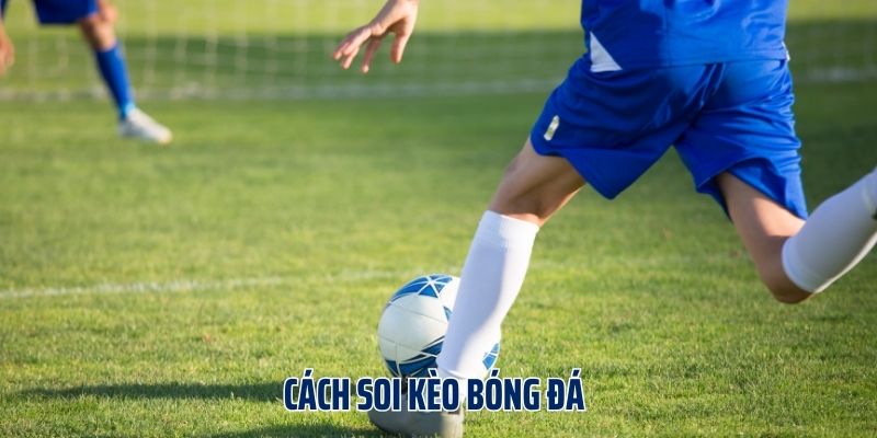 Theo dõi biến động kèo trước khi trận đấu diễn ra