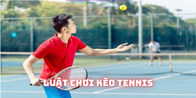 Hướng dẫn tham dự cược tennis online