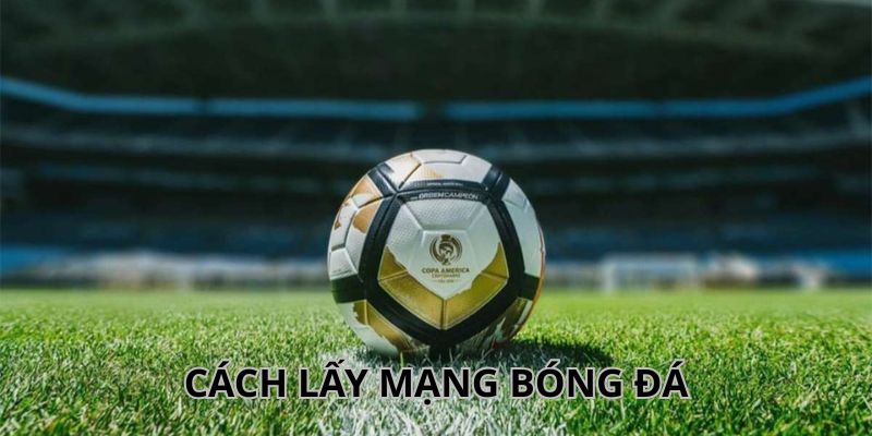 Chia sẻ một phương pháp lấy mạng bóng đá đơn giản