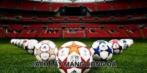 Cách Lấy Mạng Bóng Đá Và Những Thông Tin Khách Hàng Cần Biết