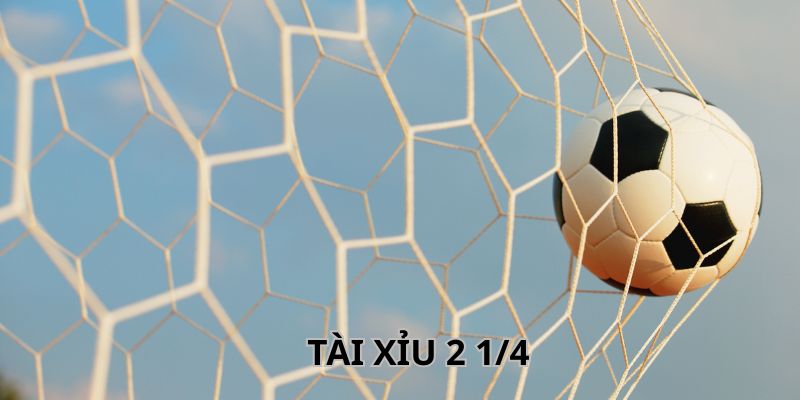 Tài Xỉu 2 1/4 Là Gì? Bí Kíp Đoán Kèo Cực Chuẩn Từ Cao Thủ