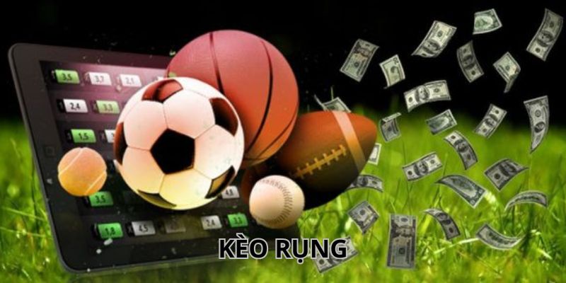Kèo Rụng Là Gì? Cách Nhận Biết Kèo Cho Người Mới Cược