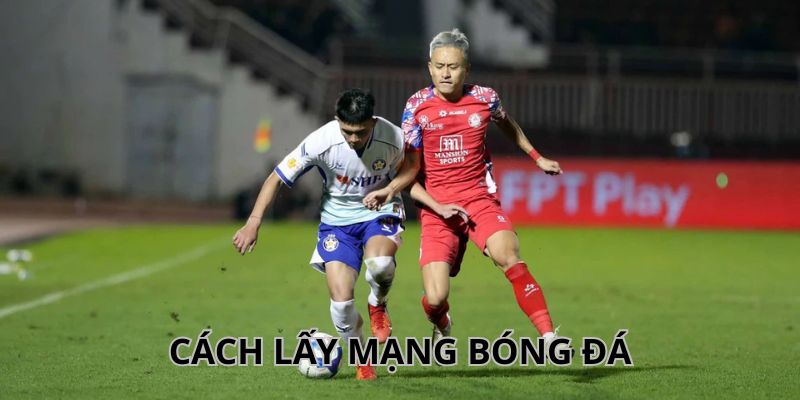 Cập nhật một số loại mạng quen thuộc