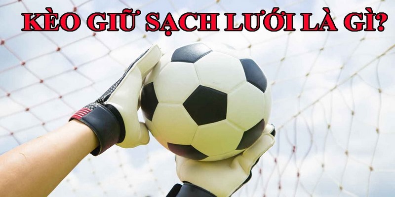 Thông tin cơ bản cần biết về kèo giữ sạch lưới