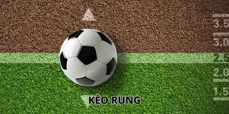 Cách nhận diện kèo cược rụng cho người mới