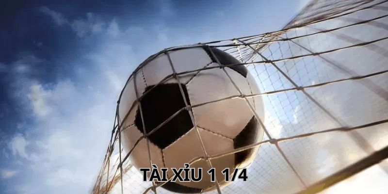 Lý do kèo tài xỉu 1.25 được nhiều bet thủ ưa chuộng