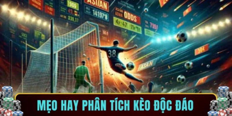 Kinh nghiệm hay giúp bạn chinh phục mọi loại kèo Tài Xỉu