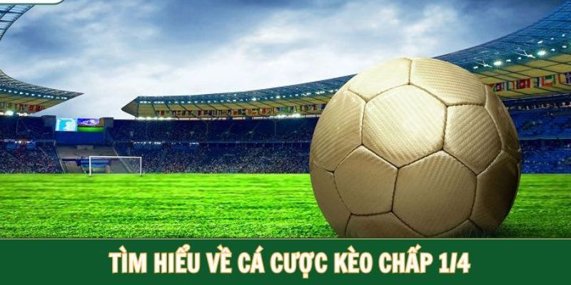 Giải thích cách đánh HDP 0-0.5 bàn thắng