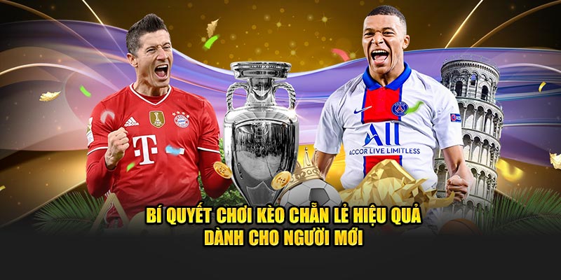 Chiến lược đặt cược hiệu quả cho hội viên