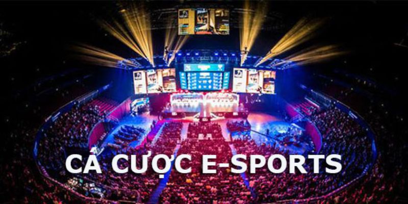 Được trải nghiệm những gì khi tham gia E - Sporst?