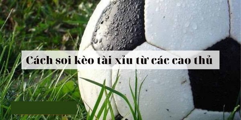 Thông tin về kèo tài xỉu 1/2 trái