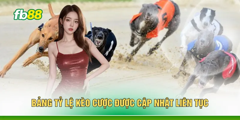 Bảng tỷ lệ kèo cược được cập nhật liên tục