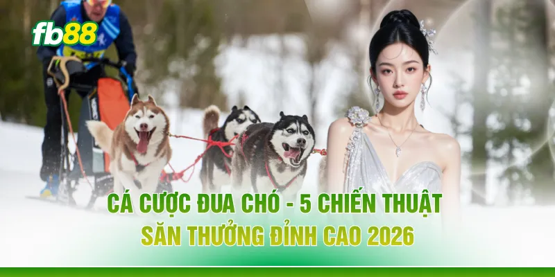 Cá Cược Đua Chó - 5 Chiến Thuật Săn Thưởng Đỉnh Cao 2026