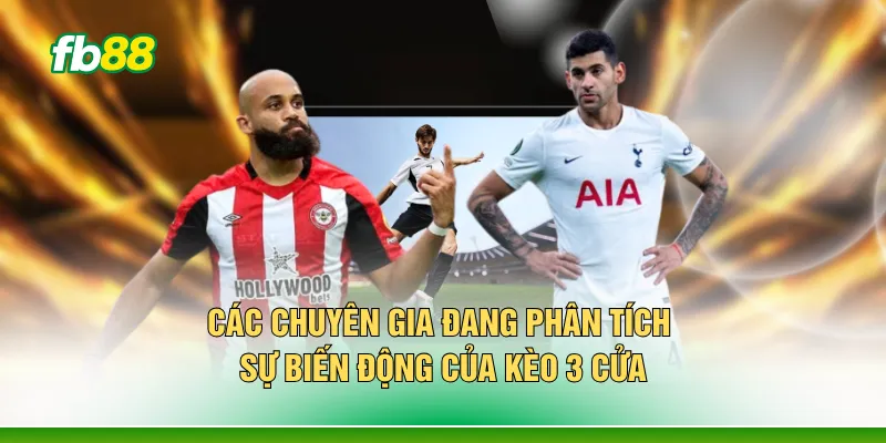Các chuyên gia đang phân tích sự biến động của kèo 3 cửa