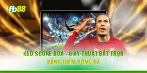 Kèo Score Box - 6 Kỹ Thuật Bắt Trọn Bảng Điểm Bóng Đá