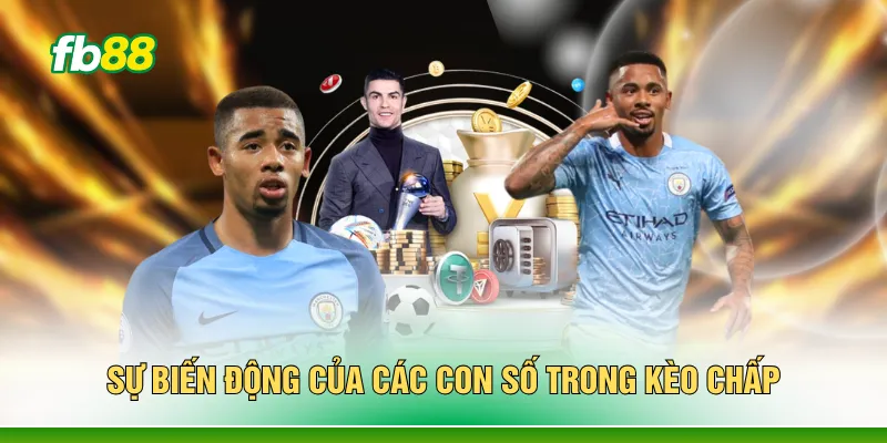 Sự biến động của các con số trong kèo chấp