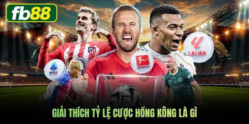 Giải thích tỷ lệ cược Hồng Kông là gì