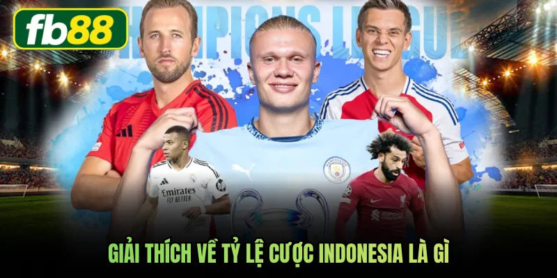 Giải thích về tỷ lệ cược Indonesia là gì