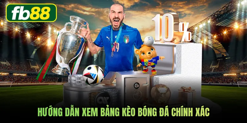 Hướng dẫn xem bảng kèo bóng đá chính xác