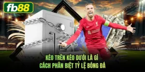 Kèo Trên Kèo Dưới Là Gì - Cách Phân Biệt Tỷ Lệ Bóng Đá