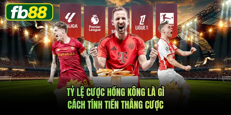 Tỷ Lệ Cược Hồng Kông Là Gì - Cách Tính Tiền Thắng Cược