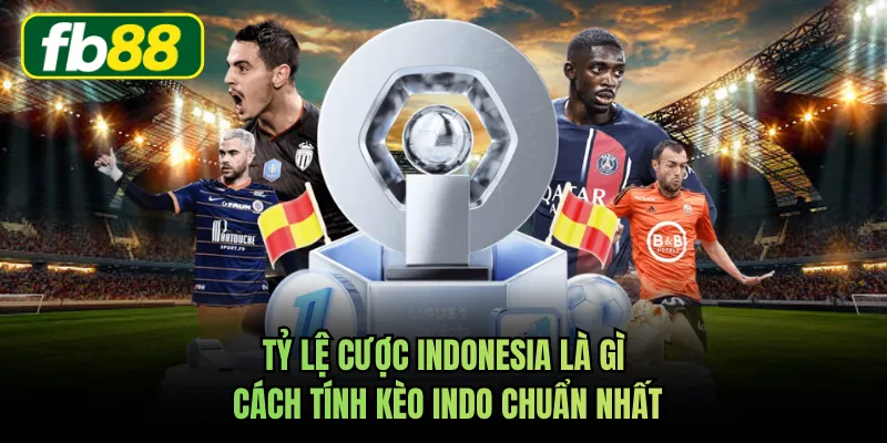 Tỷ Lệ Cược Indonesia Là Gì - Cách Tính Kèo Indo Chuẩn Nhất