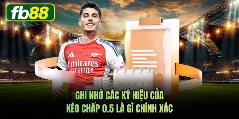 Ghi nhớ các ký hiệu của kèo chấp 0.5 là gì chính xác