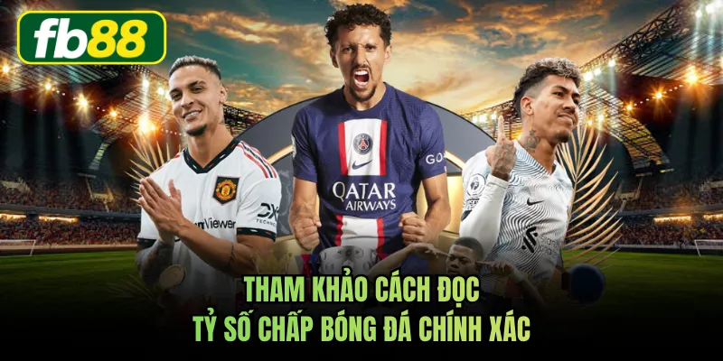 Tham khảo cách đọc tỷ số chấp bóng đá chính xác
