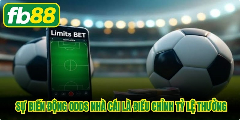  Sự biến động odds nhà cái là quá trình điều chỉnh tỷ lệ thưởng