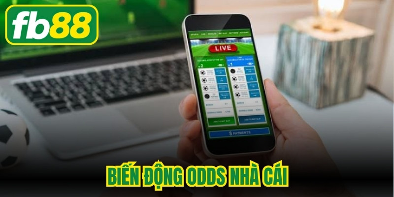 Biến Động Odds Nhà Cái