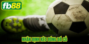 Nhận Định Kèo Bóng Đá Cỏ