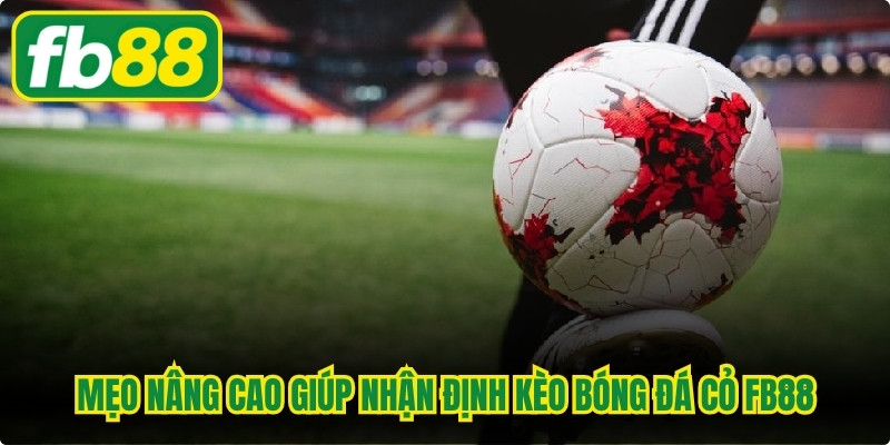 Mẹo nâng cao giúp nhận định kèo bóng đá cỏ FB88