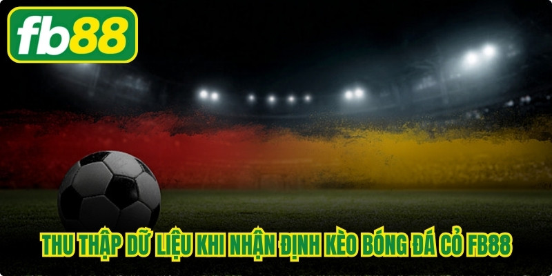 Thu thập dữ liệu khi nhận định kèo bóng đá cỏ FB88