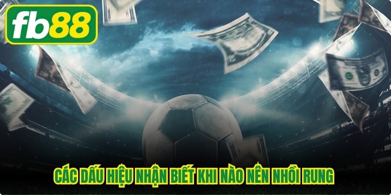 Các dấu hiệu nhận biết khi nào nên nhồi rung được hiển thị chi tiết