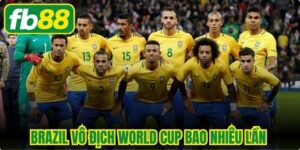 Brazil Vô Địch World Cup Bao Nhiêu Lần
