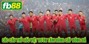 Các Cầu Thủ Gốc Việt