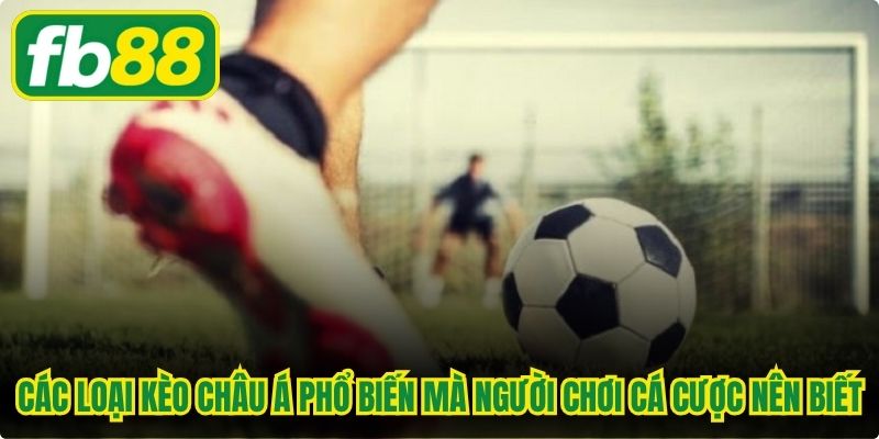Các loại kèo châu Á phổ biến mà người chơi cá cược nên biết