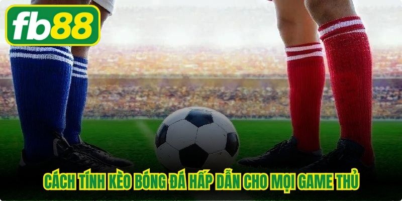 Cách tính kèo bóng đá hấp dẫn cho mọi game thủ