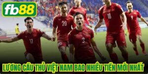 Lương Cầu Thủ Việt Nam Bao Nhiêu Tiền