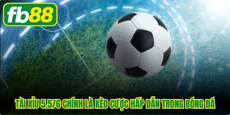 Tài xỉu 5.5/6 chính là kèo cược hấp dẫn trong bóng đá