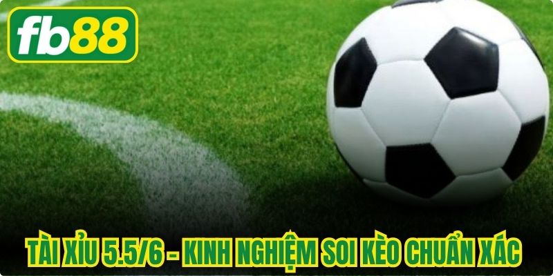 Tài Xỉu 5.5/6