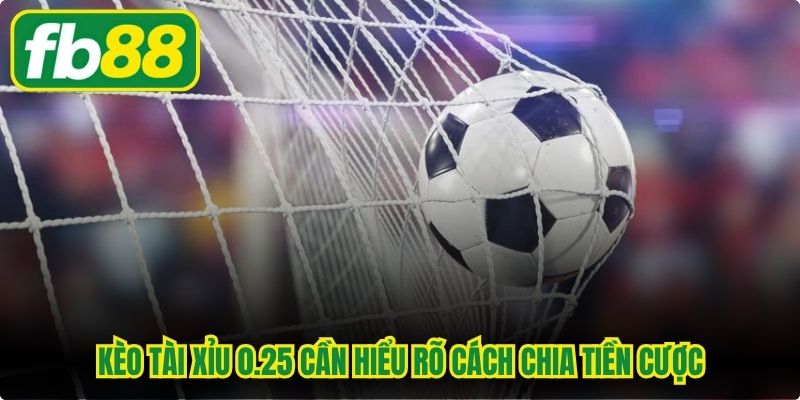 Kèo tài xỉu 0.25 cần hiểu rõ cách chia tiền cược