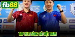 Top HLV Bóng Đá Việt Nam